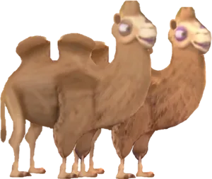 Two Headed Camel Illustration