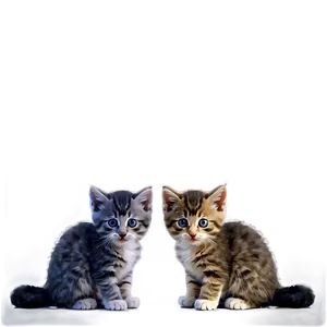 Two Kittens PNG 05232024