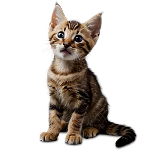 Two Kittens PNG 05232024