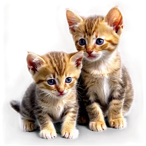 Two Kittens PNG Kmp