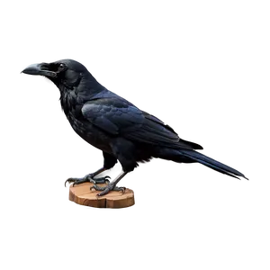 Two Ravens Png 77 PNG image