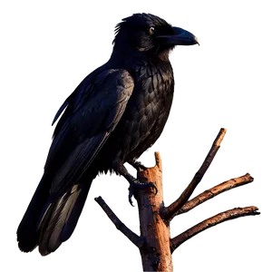 Two Ravens Silhouetted PNG Buy40 PNG