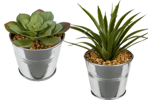 Two Succulentsin Metal Pots PNG image