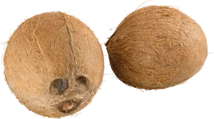 Two Whole Coconuts Transparent Background PNG image