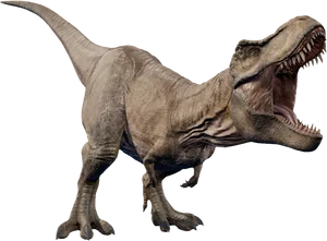 Tyrannosaurus Rex Full Body Roar PNG image