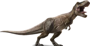 Tyrannosaurus Rex Jurassic World PNG image