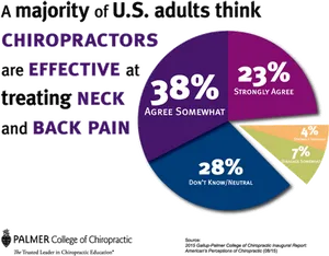 U S Adults Opinion Chiropractic Effectiveness PNG image