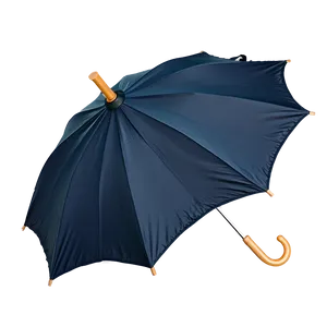 Umbrella Top View PNG 05232024