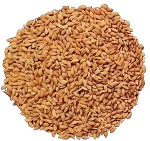 Uncooked Brown Rice Texture PNG image