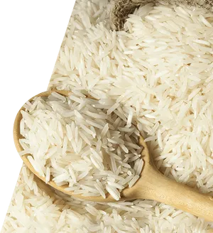 Uncooked White Ricein Spoon PNG image