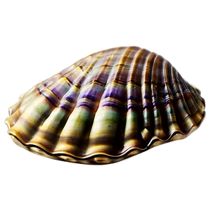 Underwater Clam Shell Png 06292024 PNG image