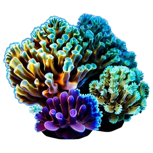 Underwater Coral Reef Picture PNG Fpg