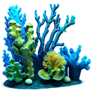 Underwater Coral Reef Picture PNG Hcc