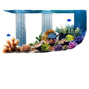 Underwater Coral Reef PNG 05212024