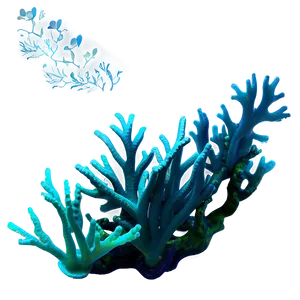 Underwater Coral Reef PNG 55