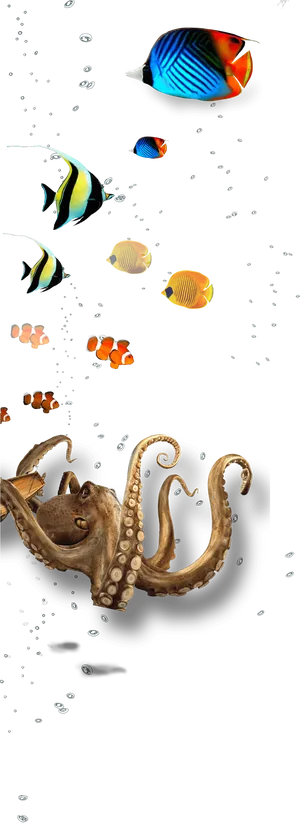 Underwater Marine Life Collage PNG image