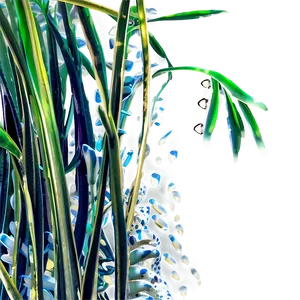 Underwater Seagrass PNG Flm