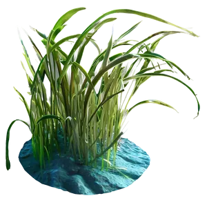 Underwater Seagrass PNG Nnl