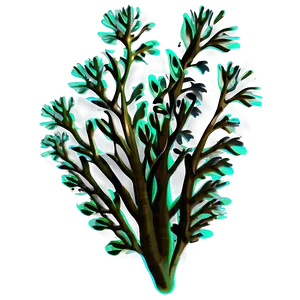 Underwater Seaweed Clipart PNG Fcv78