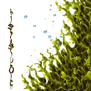 Underwater Seaweed Clipart PNG Wfy