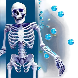 Underwater Skeleton PNG Ccf PNG