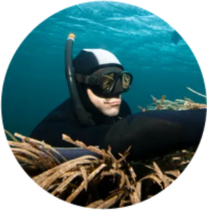 Underwater_ Snorkeler_ Adventure.jpg PNG