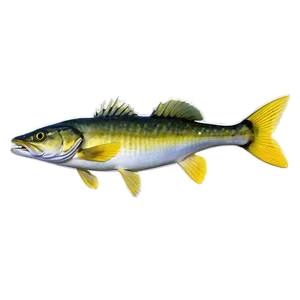 Underwater Walleye Png 06262024 PNG image