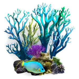 Underwater Wonders Png 87 PNG image