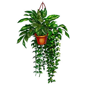 Unique Hanging Plant Png 05252024 PNG image