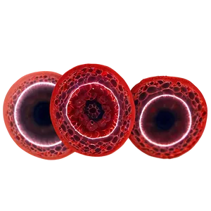 Unique Red Blood Cells Png 06292024 PNG image