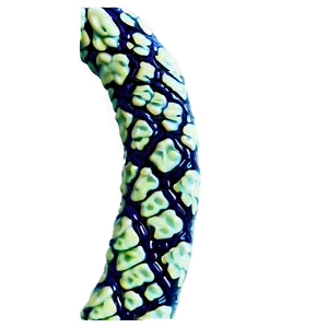 Unique Snake Skin PNG 69