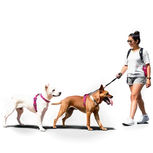 Urban Dog Walker Png Sla PNG image