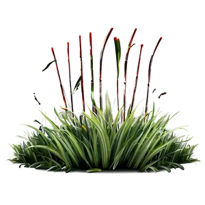 Urban Park Grass PNG 04292024