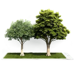 Urban Street Trees PNG Afo
