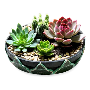 Urban Succulent Gardens PNG 06212024 PNG