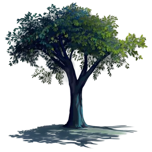 Urban Tree Shadow Png 63 PNG image