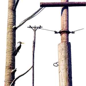 Utility Pole With Birds PNG Wnk45 PNG