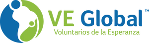 V E Global Logo PNG image