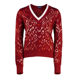 V-neck Red Sweater PNG Hsx22 PNG