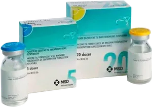 Vaccine Vialsand Packaging PNG image