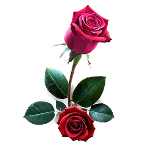 Valentine Roses Png 05242024 PNG image