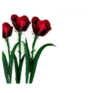 Valentine's Day Flowers PNG 05242024