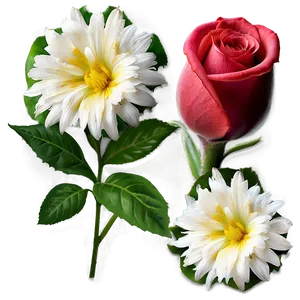 Valentine's Day Flowers PNG Yhb