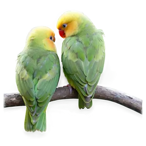 Valentine's Day Lovebirds Png Mkv70 PNG image