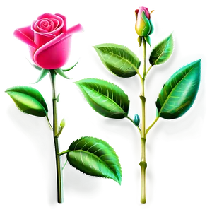 Valentines Day Roses Png Aah PNG image