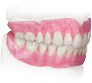 Vampire_ Teeth_ Prop_ Model.png PNG image