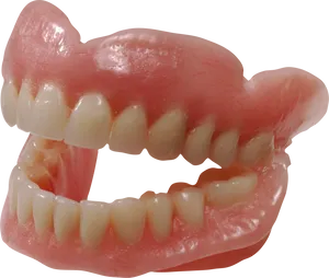 Vampire Teeth Prosthetic Prop PNG image