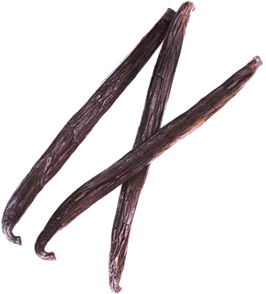 Vanilla Beans Isolated PNG image
