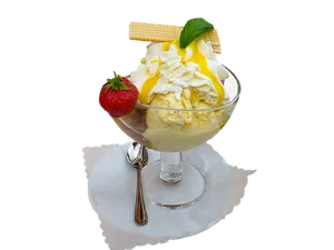 Vanilla Ice Cream Dessert Delight.jpg PNG image