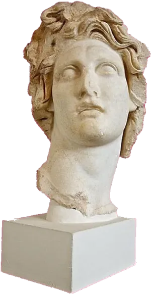 Vaporwave Aesthetic Classical Bust PNG image